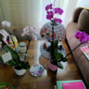 Meet your Posher, Kimberly